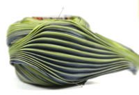 Shibori silk ribbon - Shadow Green [17cm]